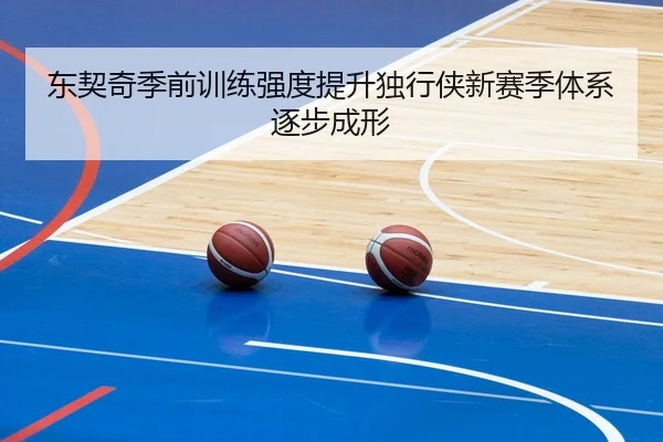 东契奇季前训练强度提升独行侠新赛季体系逐步成形